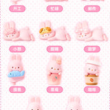 Momo Bunny 24hr Life Diary Blind Box