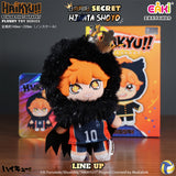 Haikyu!! x Eaki Vinyl Plush Blind Box