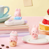 Momo Bunny 24hr Life Diary Blind Box