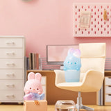 Momo Bunny 24hr Life Diary Blind Box