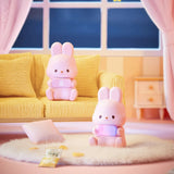 Momo Bunny 24hr Life Diary Blind Box