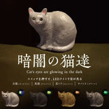 Glowing Eyes Cats in the Darkness Blind Capsule