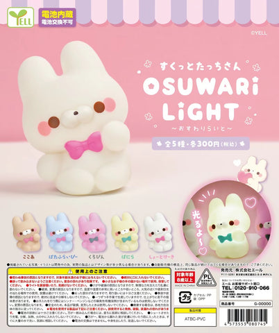 Bunny Ambient Light Blind Box