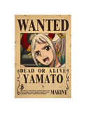 One Piece Bounty Posters Series 2